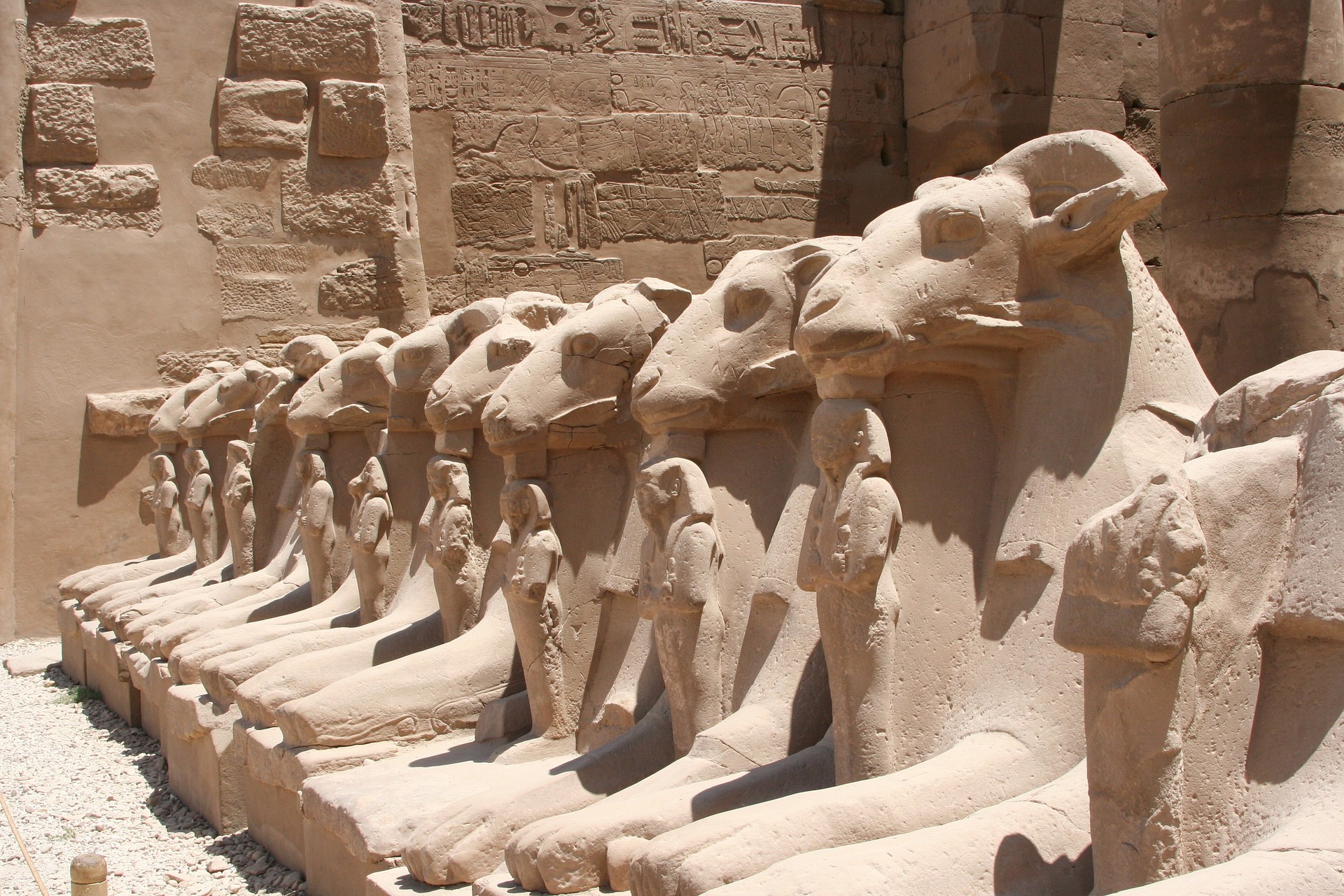 11Avenue of sphinxes